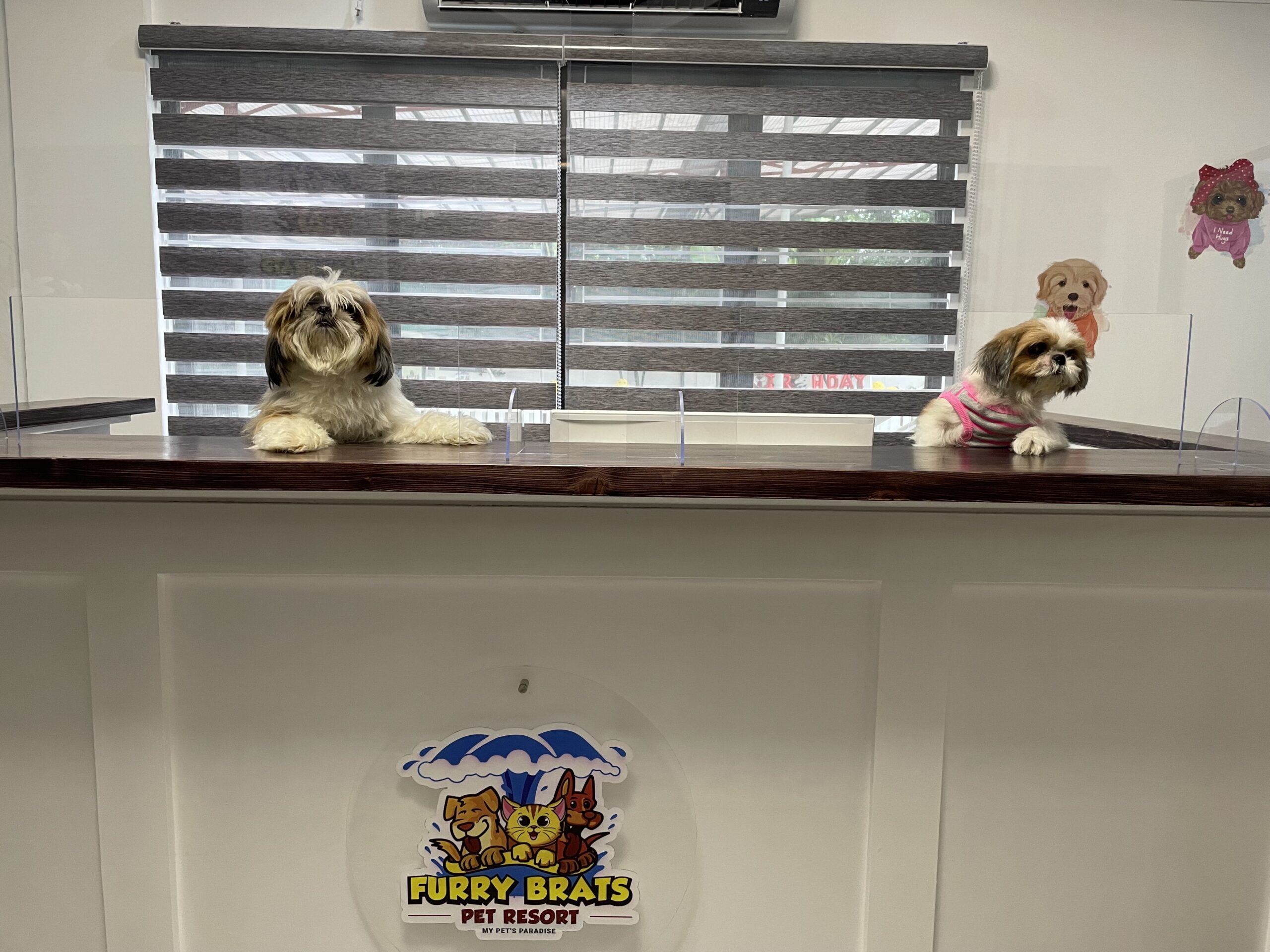 Pet Boarding – Furry Brats Pet Resort